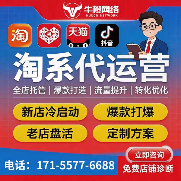 宜兴电商代运营