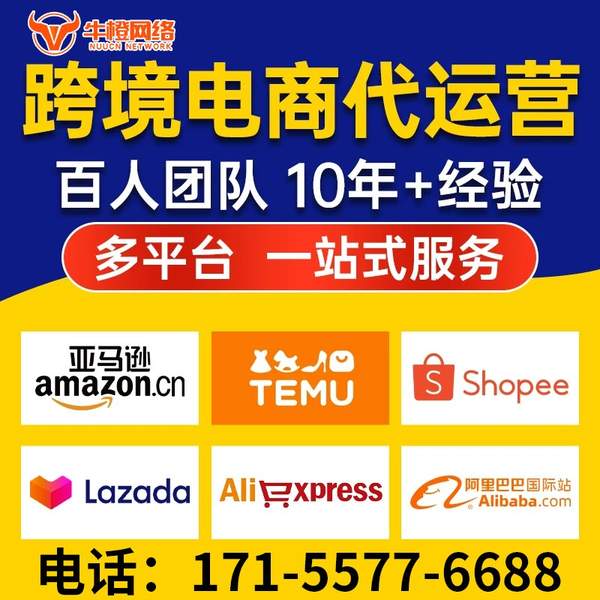 宜兴电商代运营