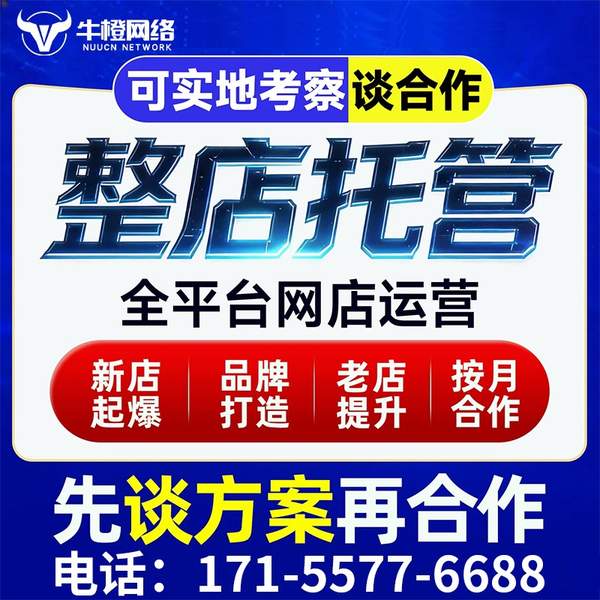 宜兴电商代运营