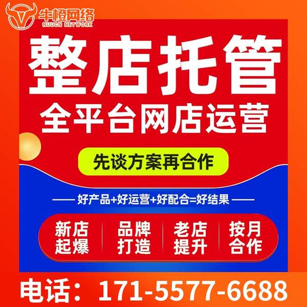 宜兴电商代运营