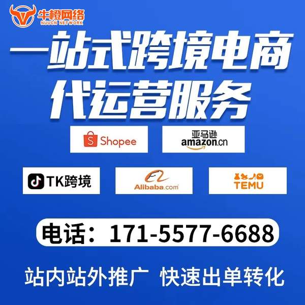 宜兴电商代运营