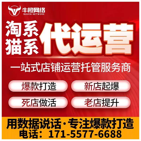 宜兴电商代运营